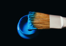 Paint Brush